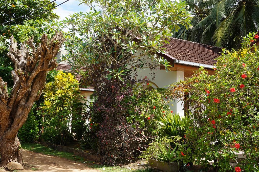Tandem Guesthouse Хиккадува Экстерьер фото